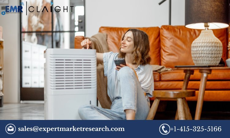 Global Portable Air Purifier Market: A Comprehensive Analysis