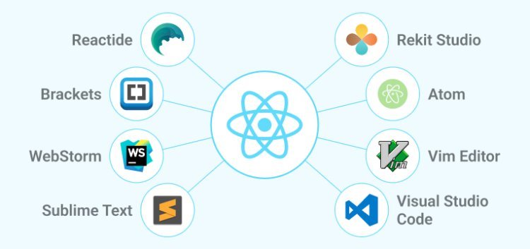 Which Is the Best IDE for React JS Development?