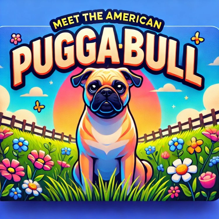 Why the American Pugabull is the Next Big Thing in Dog Breeds