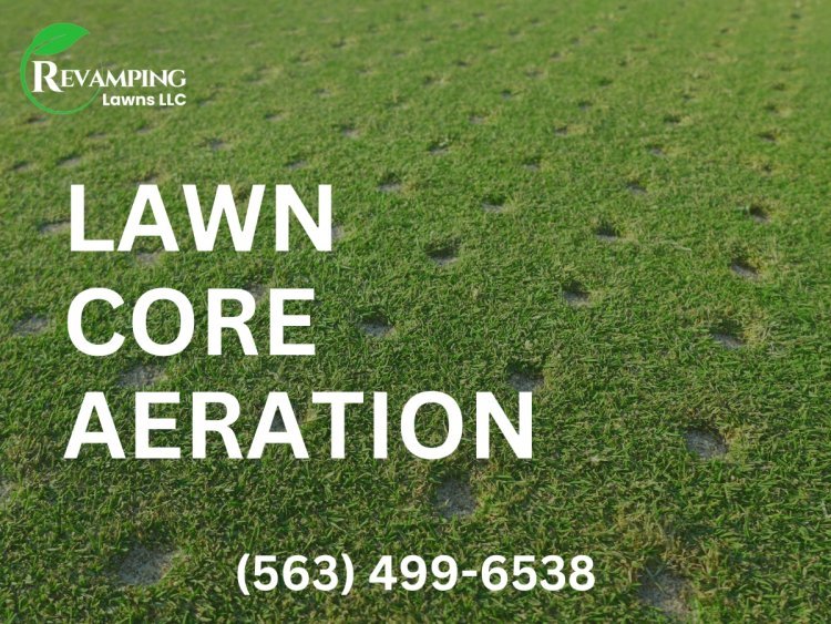 Revamping Lawns Lawn mowing and trimming Services in Jacksonville, FL