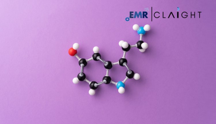 Global Polysorbate Market: Trends, Growth, and Future Prospects