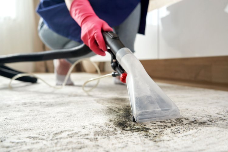 How to Spot a Reputable Carpet Cleaning Company