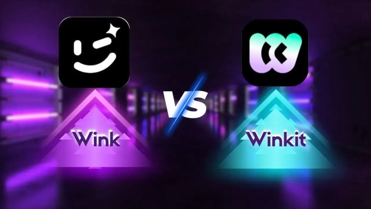 Top 5 Reasons to Try Wink APK Today | Unlock Premium Features for Free