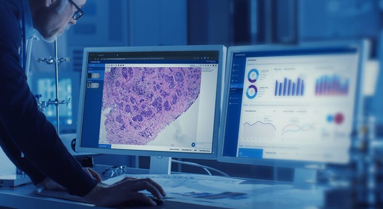 Digital Pathology Market to Showcase Robust Growth By Forecast to 2033