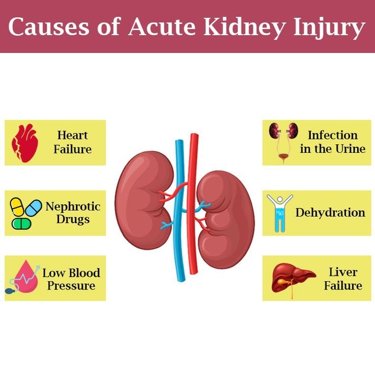 What are the common causes of kidney failure, and how do they differ between acute and chronic conditions?