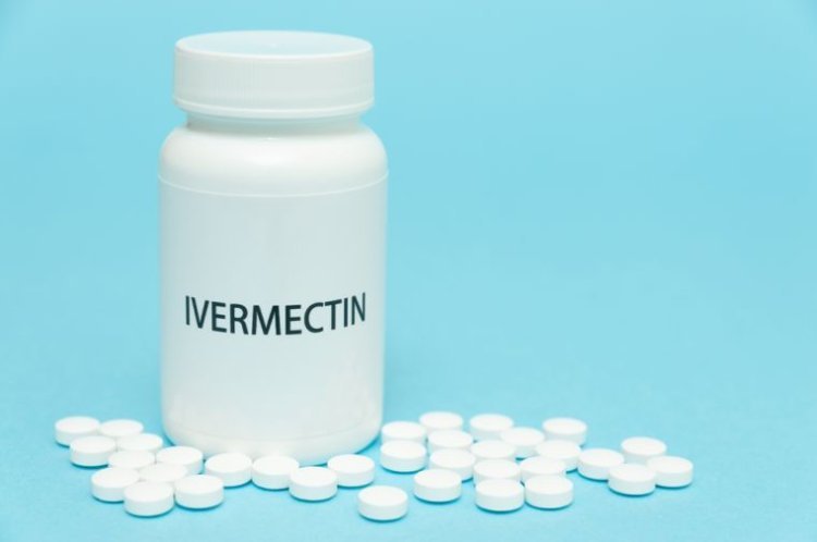 Is ivermectin good for fatty liver?