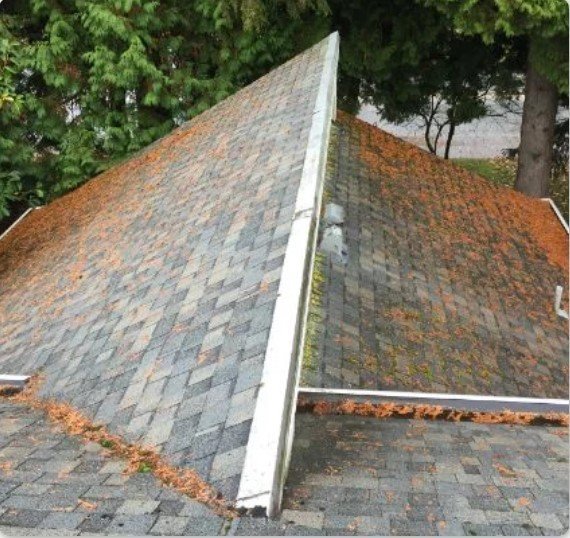 Moss Prevention Treatment in Surrey: Protect Your Home from Damage