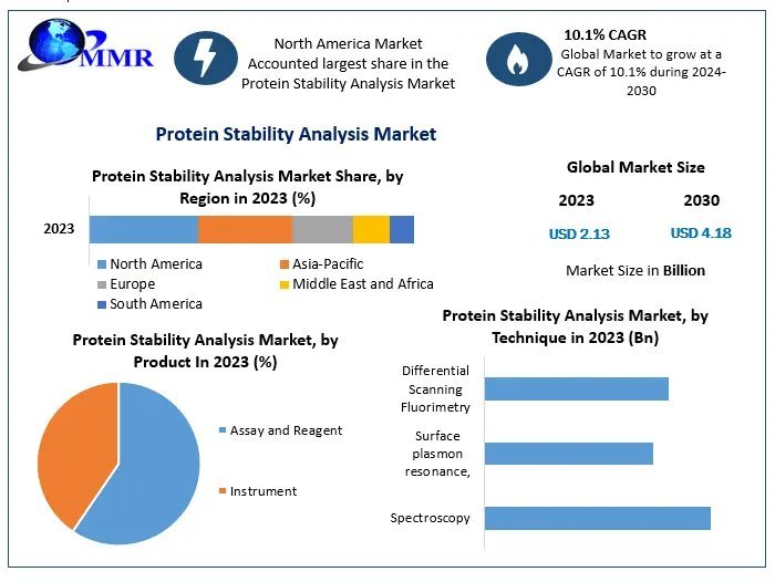 ﻿﻿﻿﻿Protein Stability Analysis Market Trends, Exploring Segmentation, Outlook, and Overview | 2024-2030