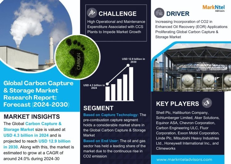 Carbon Capture & Storage Market Growth and Development Insight - Size, Share, Growth, and Industry Analysis