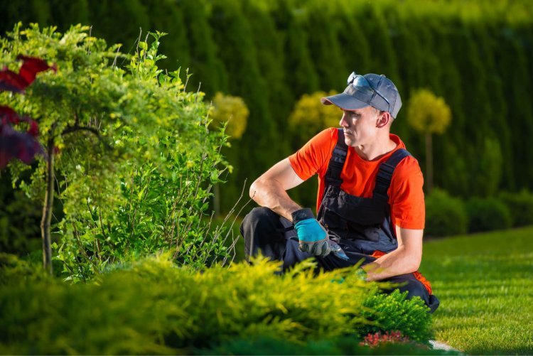 What To Consider When Hiring Professional Garden Maintenance?