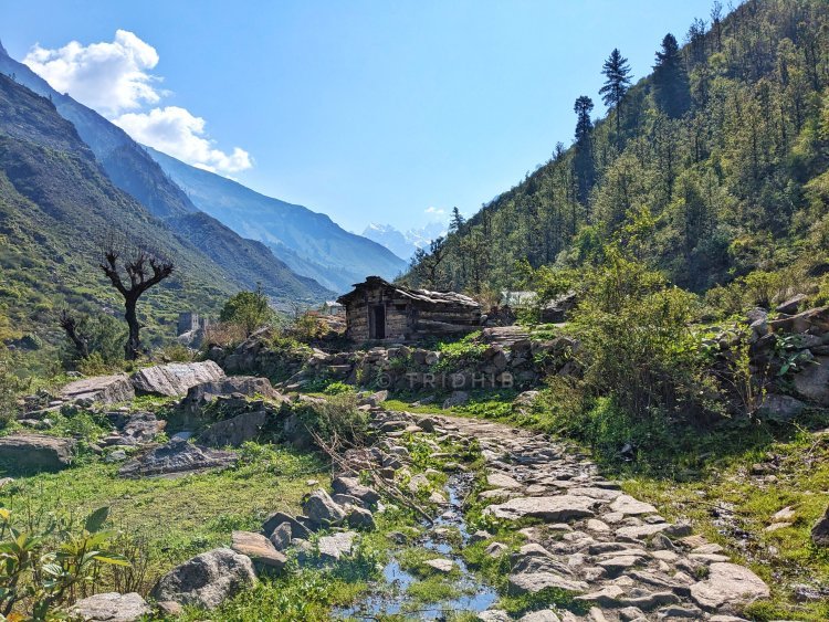 Discover the Enchanting Har Ki Dun Trek: A Journey Through the Valley of Gods