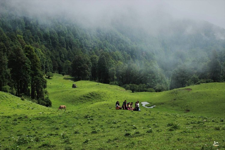 Exploring the Dayara Bugyal Trek: A Paradise for Nature Lovers