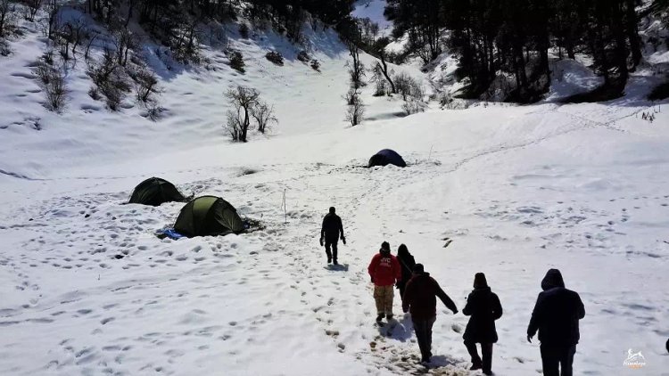 Exploring the Dayara Bugyal Trek: A Paradise for Nature Lovers