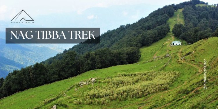 Exploring the Nag Tibba Trek: A Perfect Weekend Escape to the Himalayas