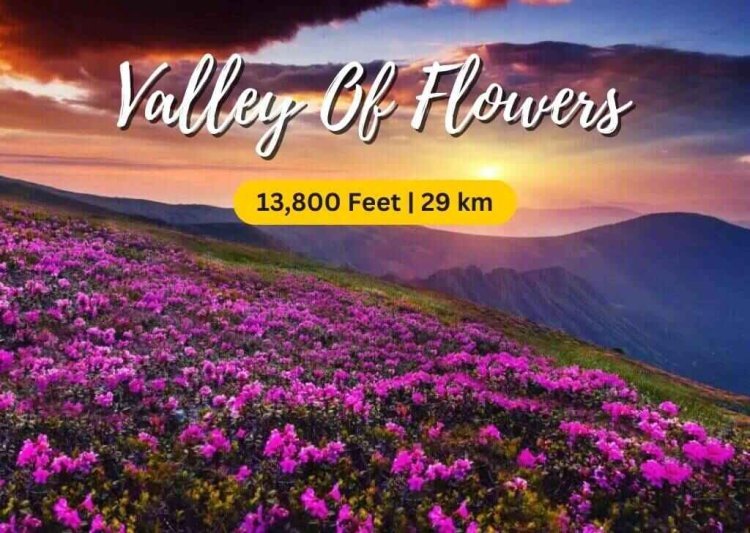 Valley of Flowers Trek in Uttarakhand