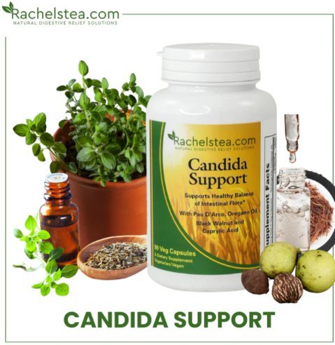 Comprehensive Candida Support: The Power of Candida Pills for Gut Health