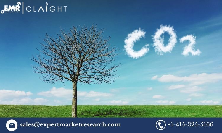 United Kingdom Carbon Dioxide Market:Trends, Growth and Forecast 2025-2034