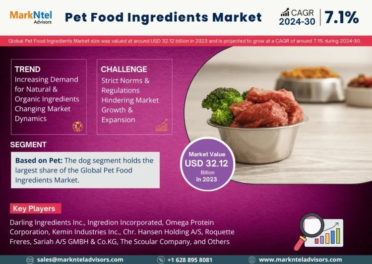 Pet Food Ingredients Market Growth and Development Insight - Size, Share, Growth, and Industry Analysis