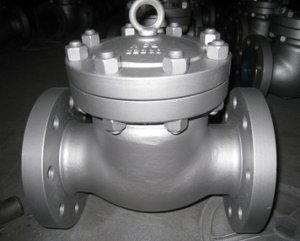 Check Valve Manufacturers in India