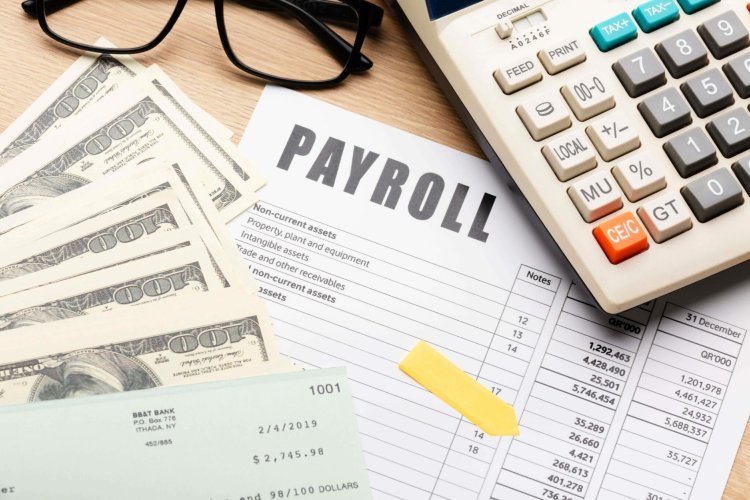 The Future of Payroll: Why Online Payroll Software is Essential in 2025