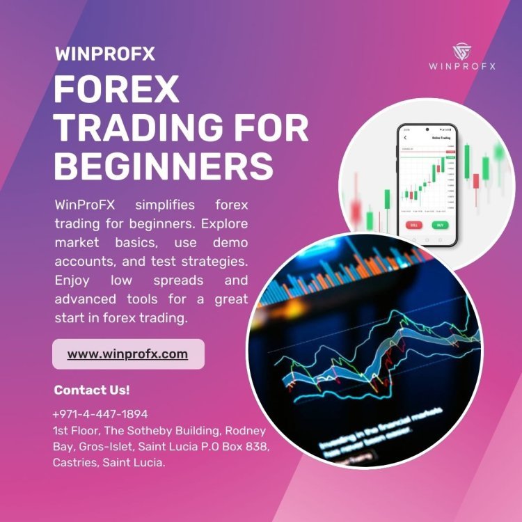 What Is Forex Trading for Beginners in WinProFx?