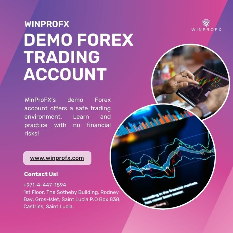 What Is a Demo Forex Trading Account in WinProFx?