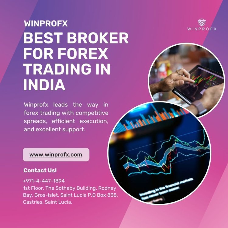 Who Is the Best Broker for Forex Trading in WinProFx?