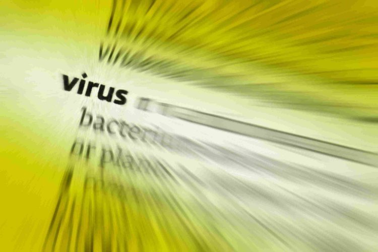 Top Harmful Viruses and Malware in 2025 to Know