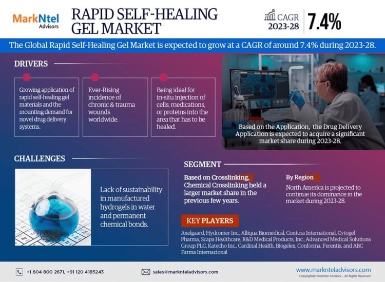 Rapid Self-healing Gel Market Growth and Development Insight - Size, Share, Growth, and Industry Analysis