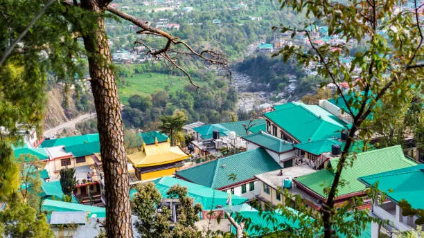 Experience Riverside Luxury and Offbeat Stays in Dharamshala at Saraaya Glamps
