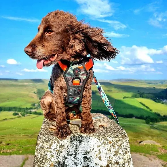 More Than a Cuddle: Finding the Right Plush Toy for Playful Dogs