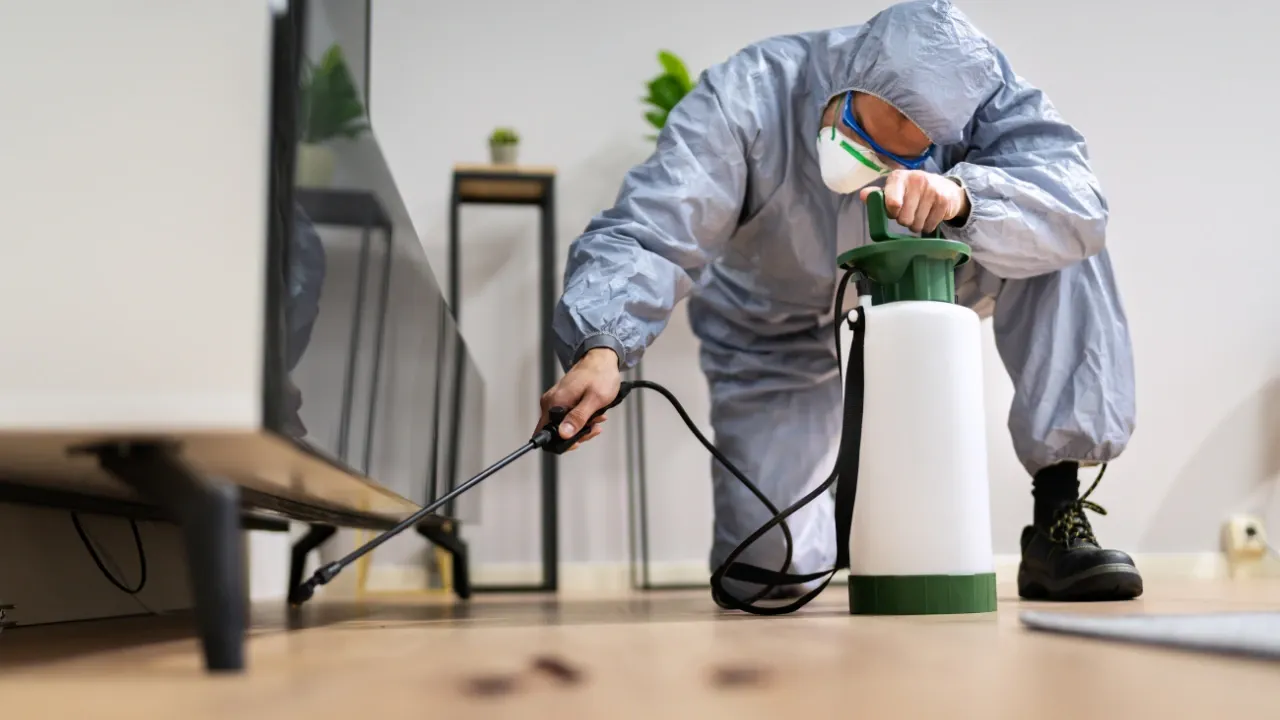 rodent control Melbourne