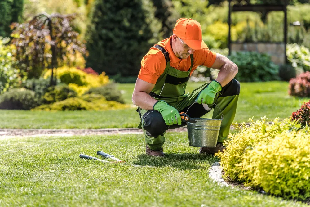 Boost Your Curb Appeal: Professional Landscape Maintenance Tips for Weatherford Properties