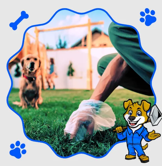 Why a Professional Dog Poop Pickup Service Makes Yard Care Easier for Pet Owners
