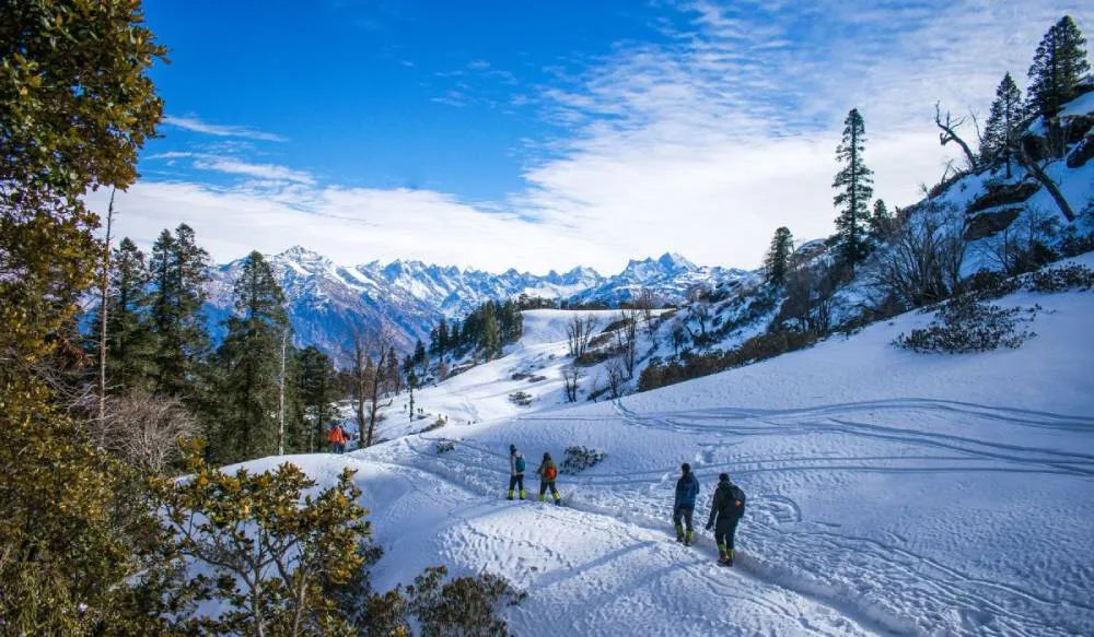 Beyond the City Rush: Plan an Unforgettable Shimla and Manali Escape from Delhi
